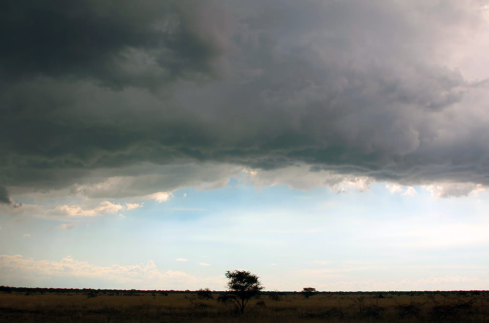storm clouds over tree