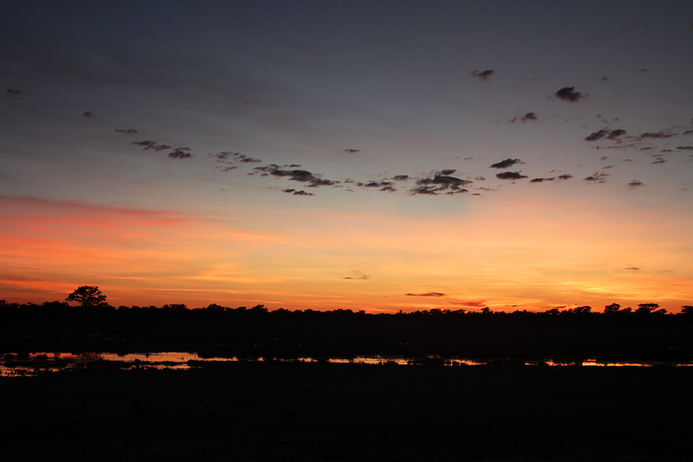 waterhole sunrise