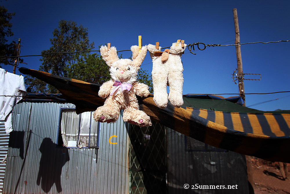 Drying bunnies