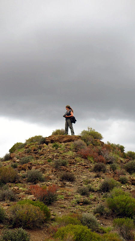 Heather on hill