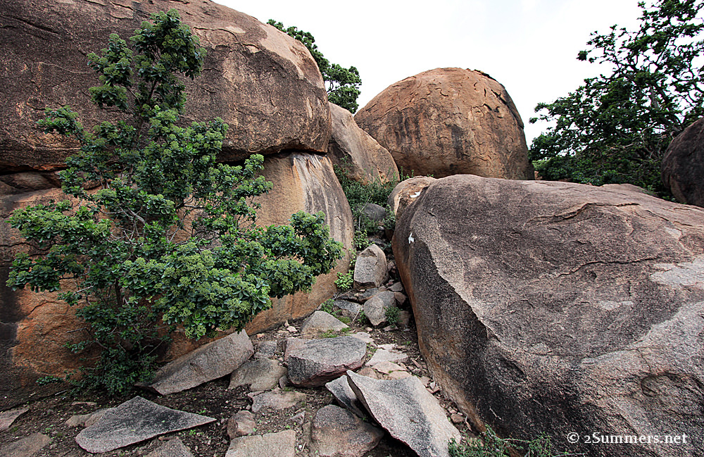 Lonehill Koppie way up