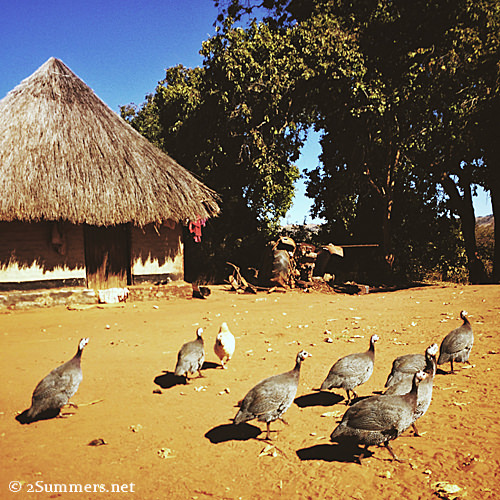 Processed with VSCOcam with m3 preset