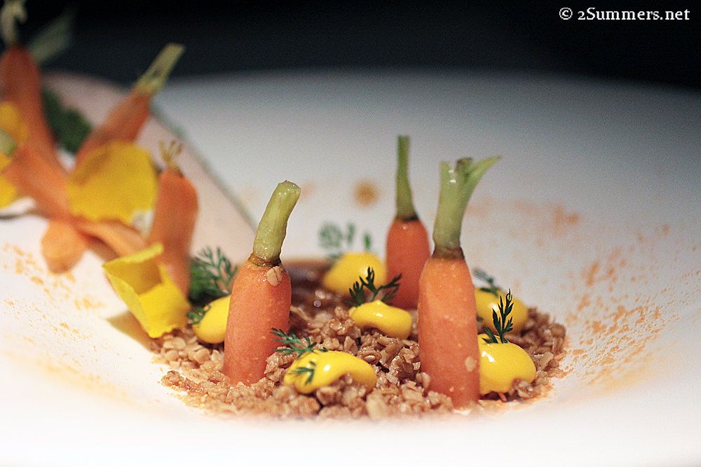 Carrot course