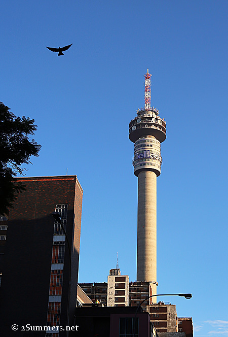 Hillbrow Tower and bird
