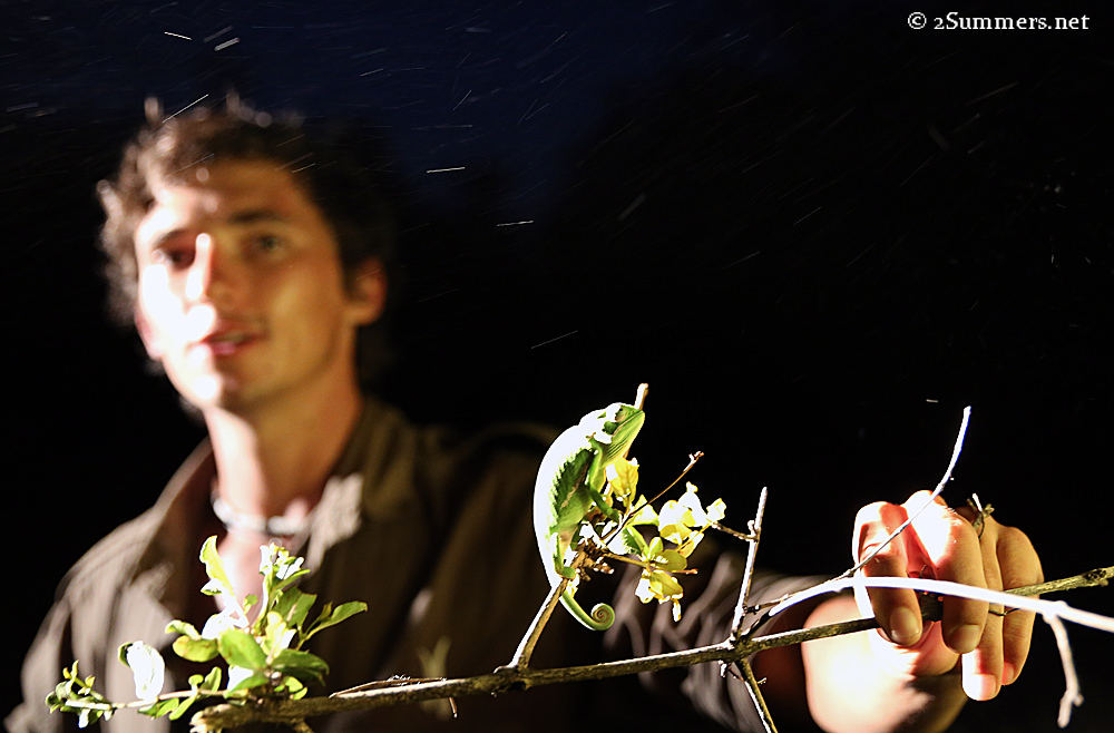 09Mike and chameleon