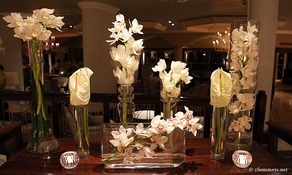 Beverly-Hills-orchids