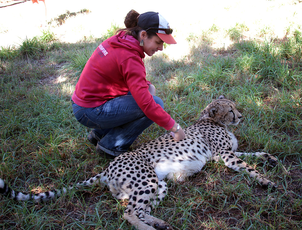 Heather and cheetah