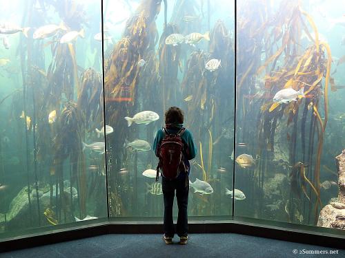 2Summers Logo Featured Post