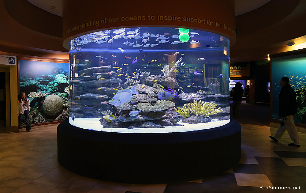 Two-Oceans-Aquarium