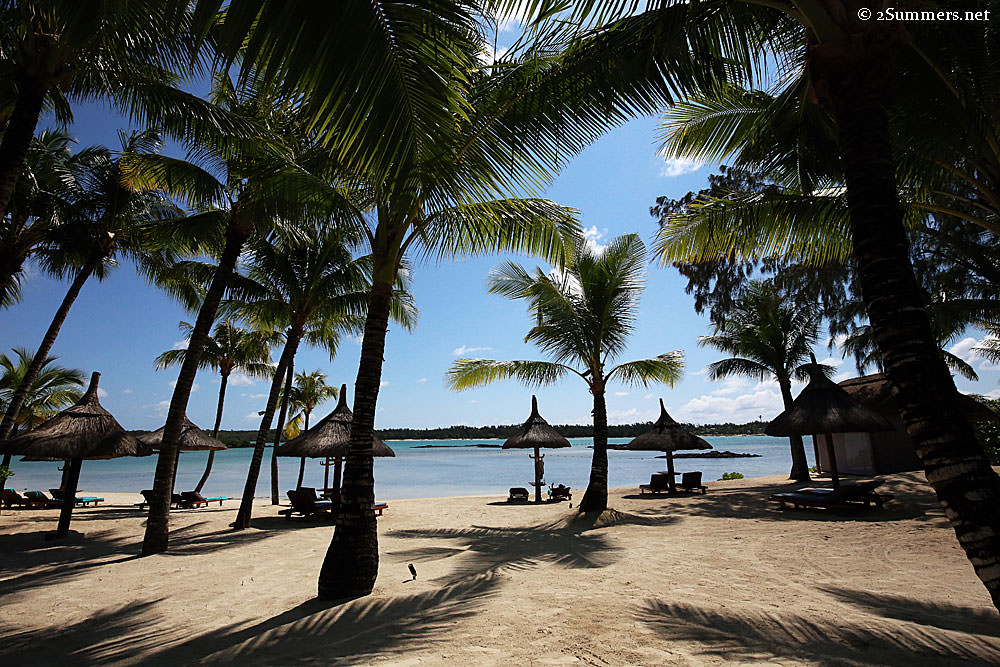 Prince-Maurice-palms