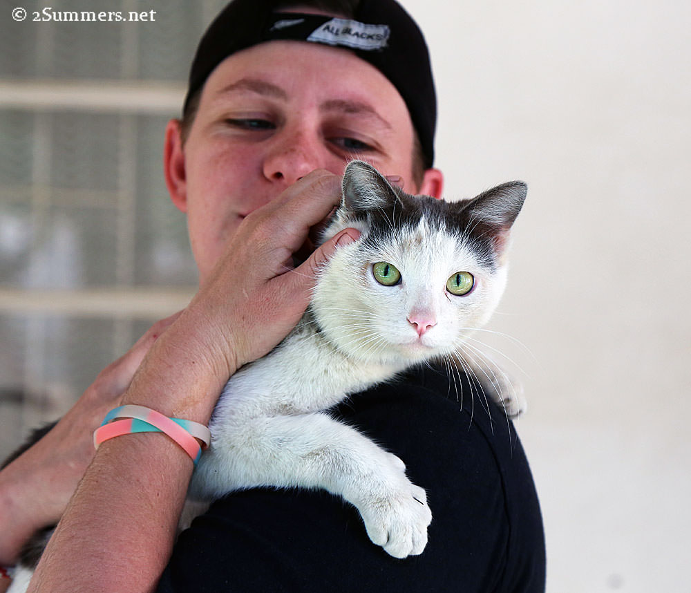 04-Graaff-Reinet-cat