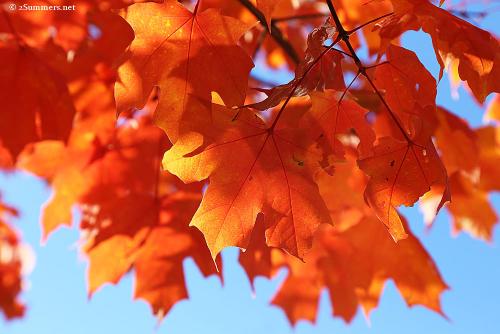 2Summers Logo Featured Post