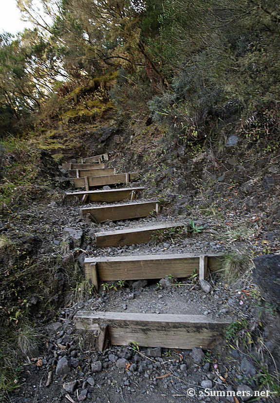 12-Hike-steps