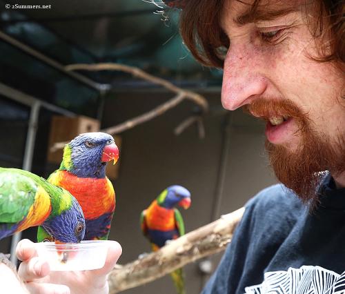 2Summers Logo Featured Post