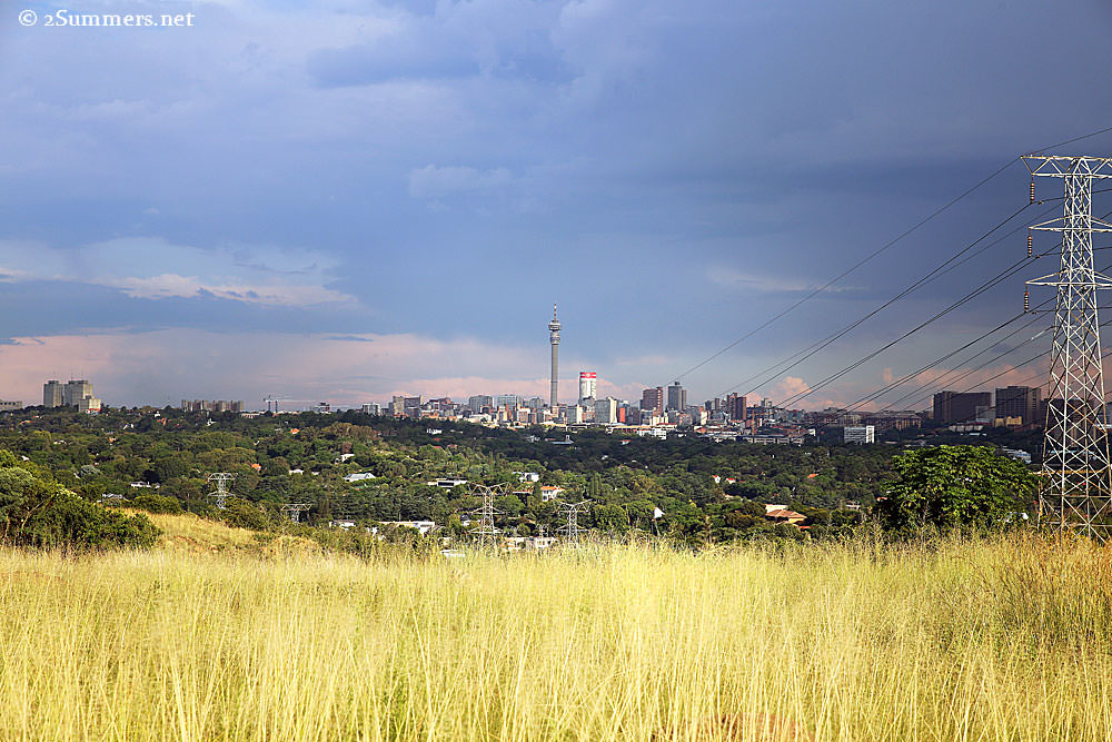 View of the Johannesburg skyline from the Melville Koppies