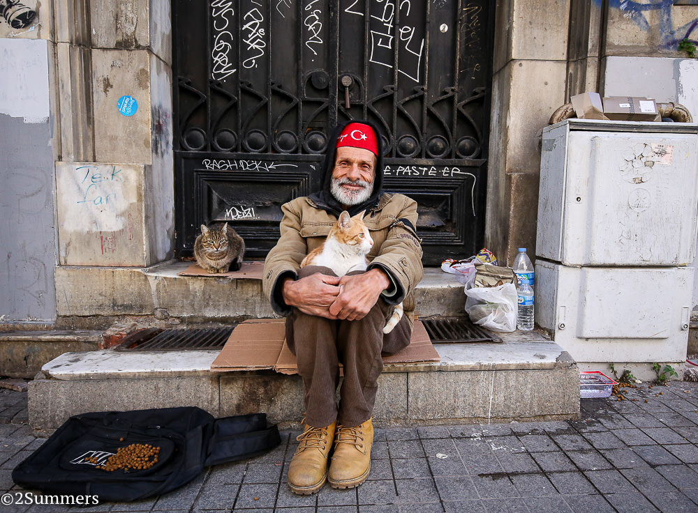 Istanbul cats-9624