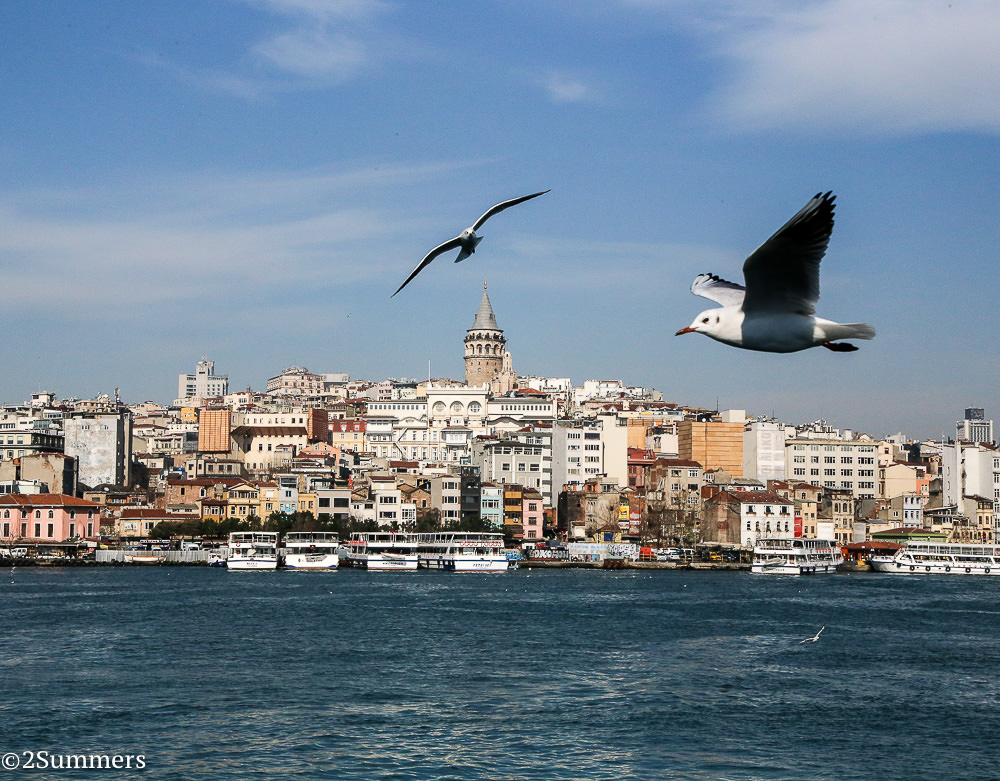 View from boat