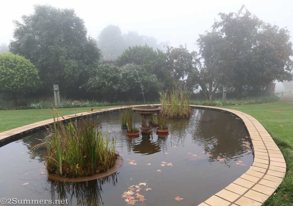 Walkersons fish pond