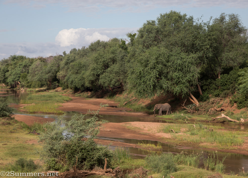 Pafuri Makuleke-8650