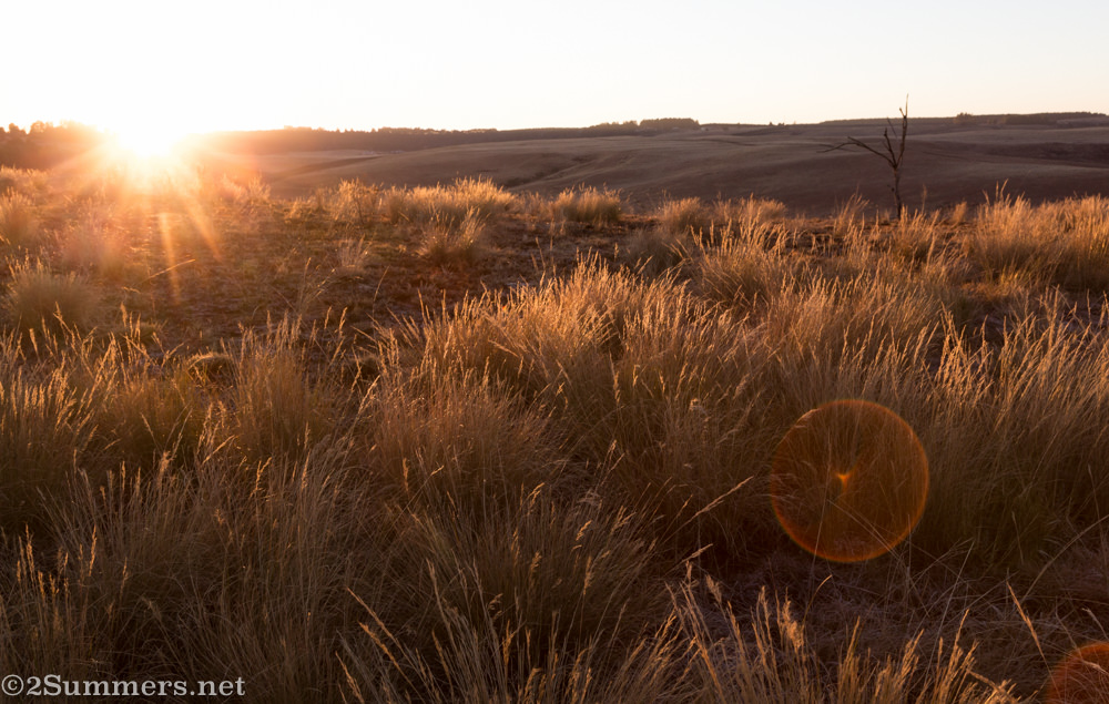 Sunrise at Brahman Hills