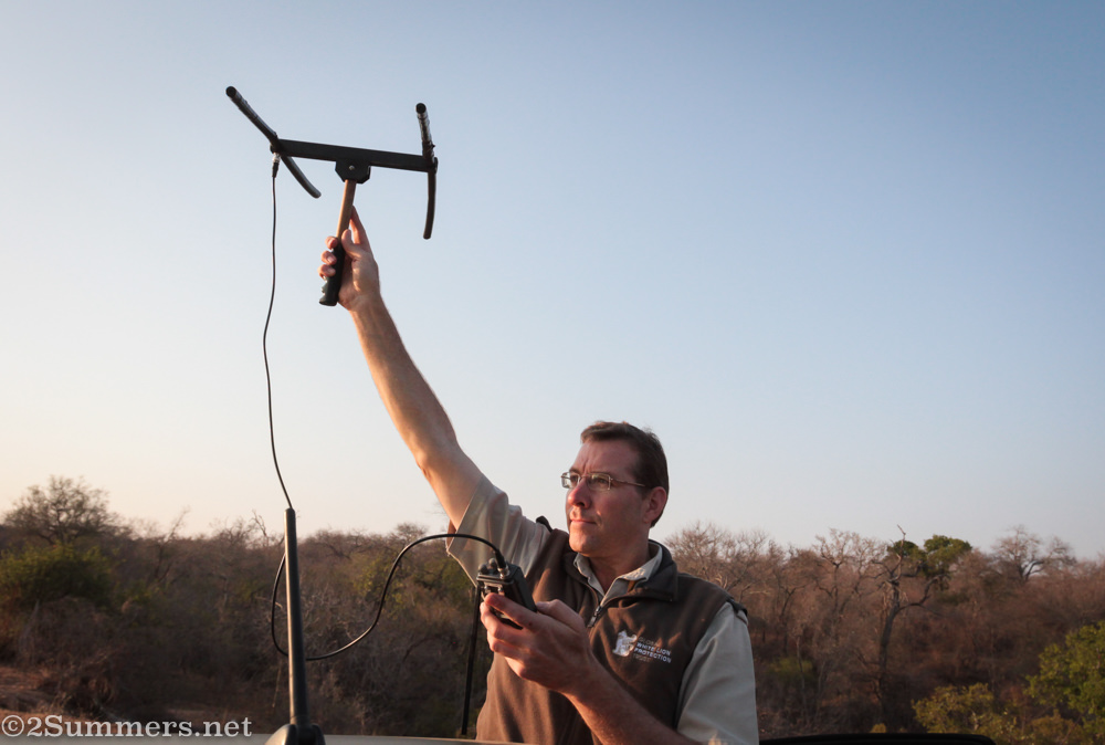 Jason Turner at the Global White Lion Trust, monitoring the movements of the lions