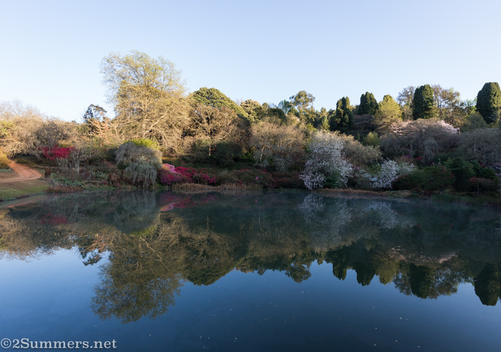 Reflection at Cheerio Gardens