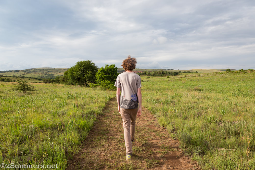 Ray walking at Stone Hill, a dog-friendly self-catering property in Magaliesburg