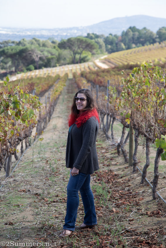 Heather in the vineyard