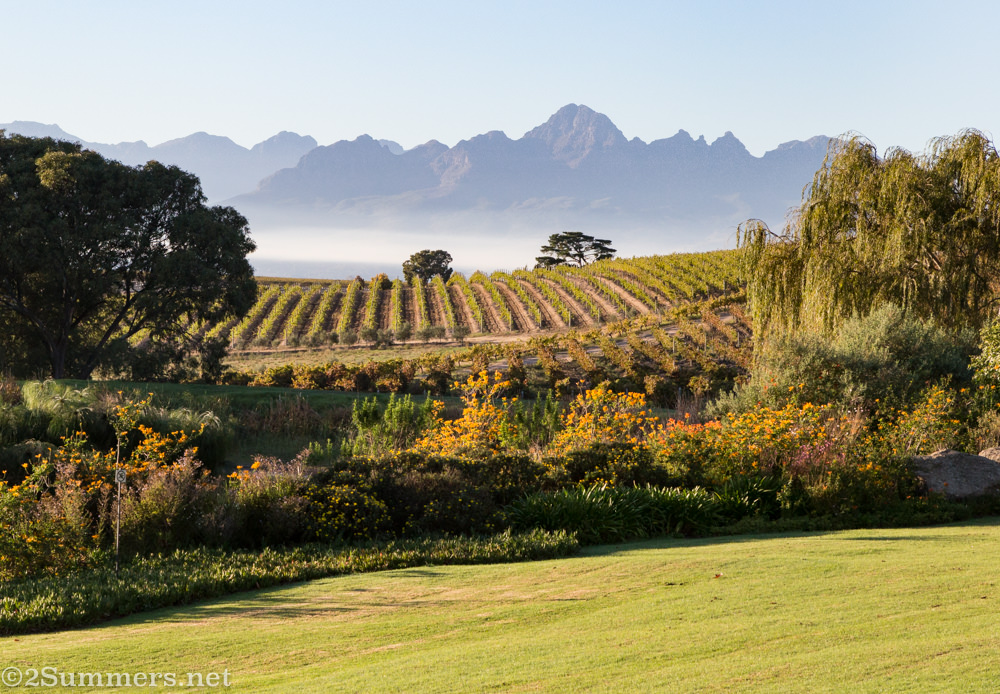 View of Jordan Wine Estate
