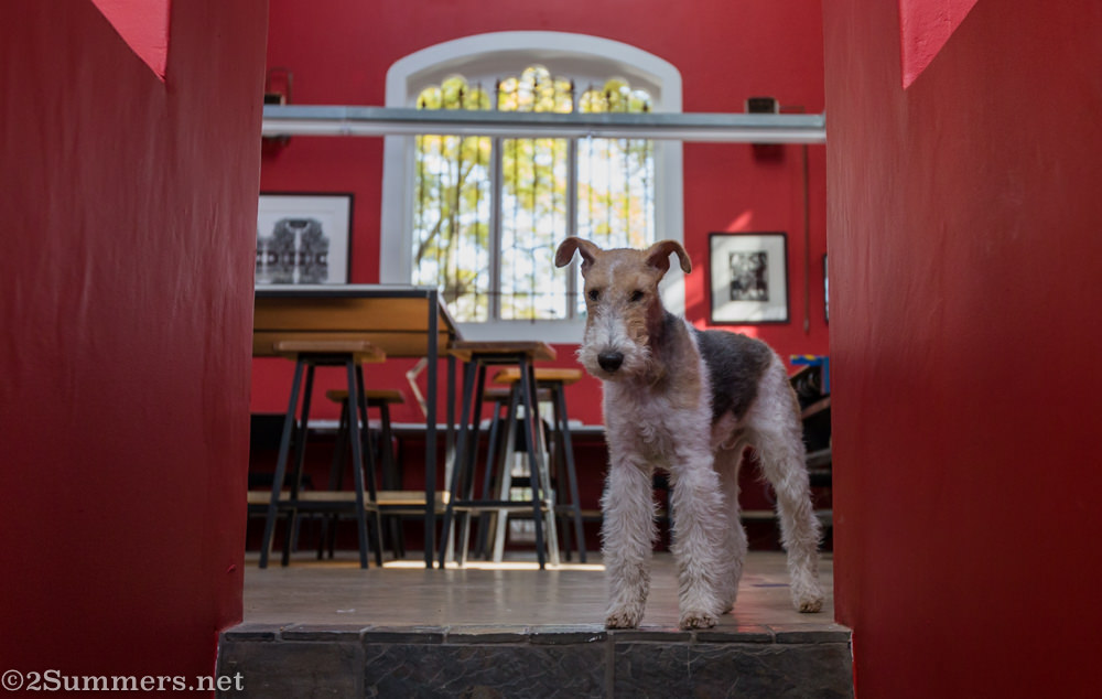 Max at the Blue Door Print Studio