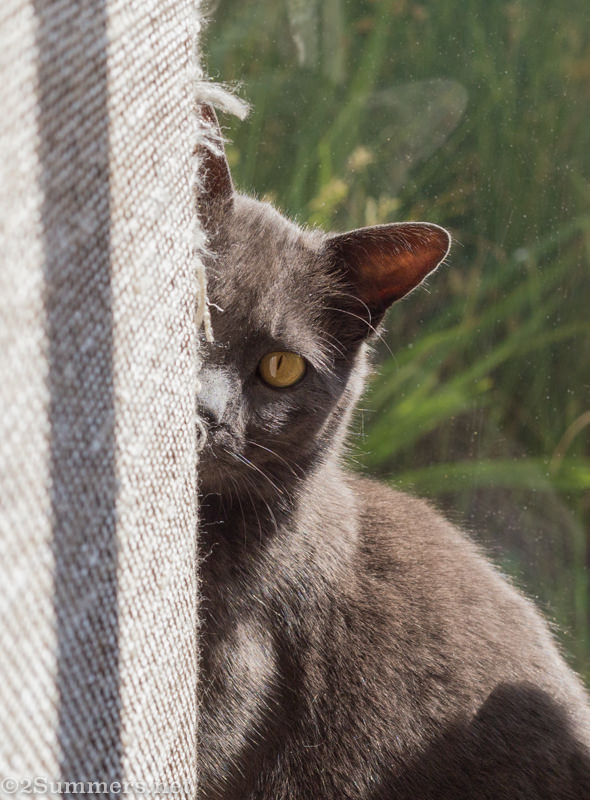 Smokey looking angry and sad after the breakup