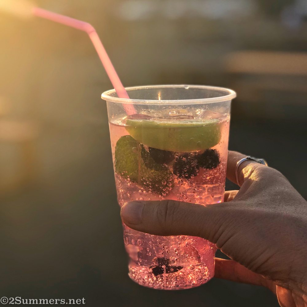 Blueberry gin cocktail at sunset