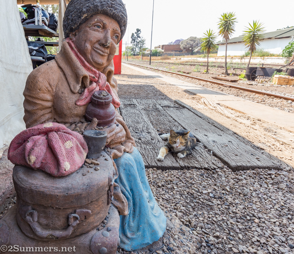 Cat outside railway station bar