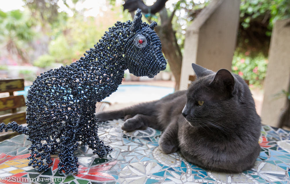 Smokey and Melville Cat Deux