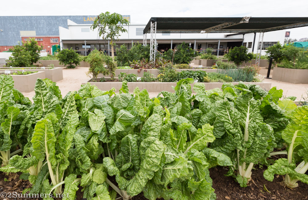 Kitchen garden at Culinary Table in Lanseria