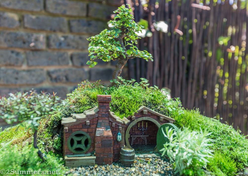 Bonsai Hobbiton