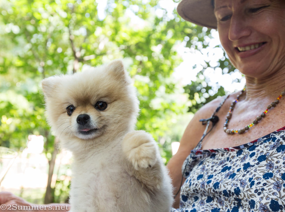 Janet and Stoepie the dog