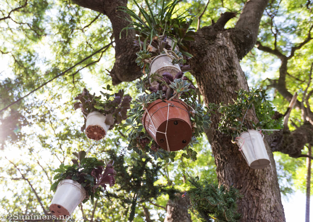 Hanging plants in the 3rd Avenue garden
