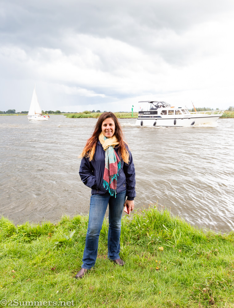 Heather in the Netherlands