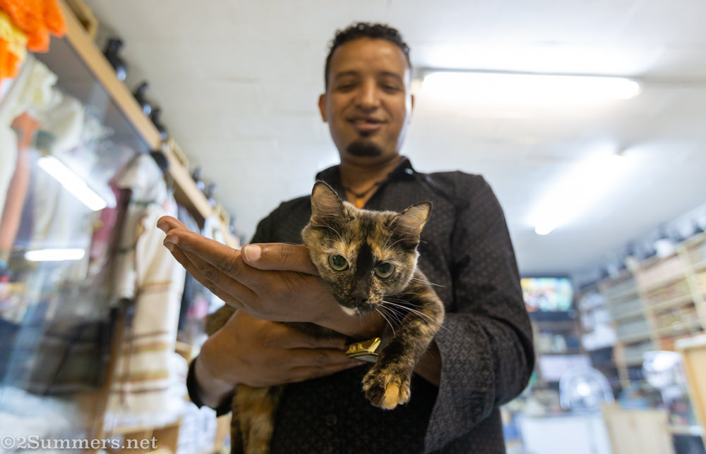 Abu and Cello the cat