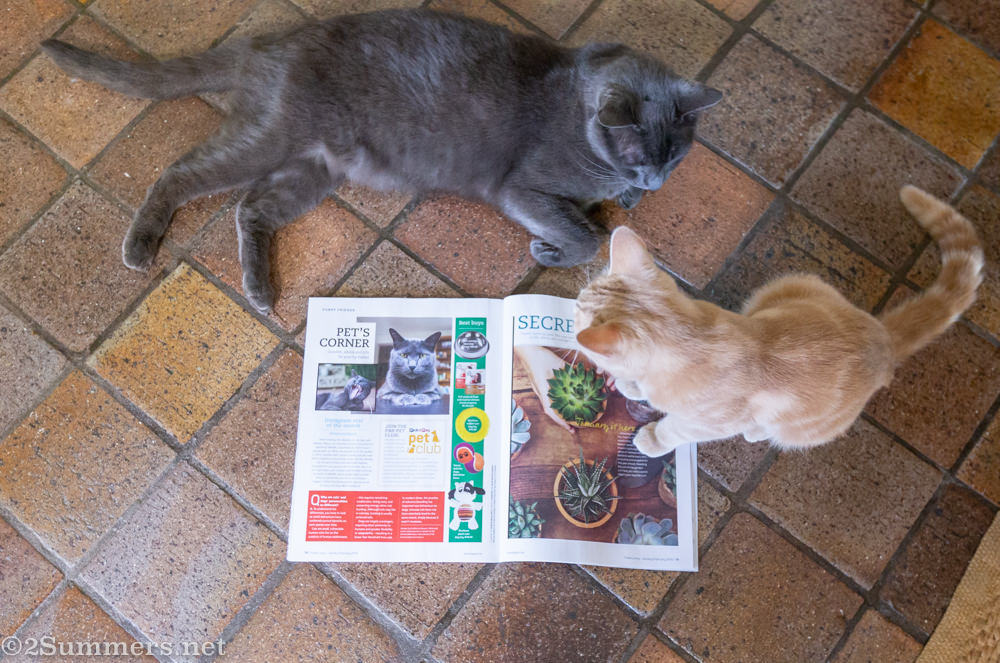 Smokey and Trixie with Fresh Living Magazine.