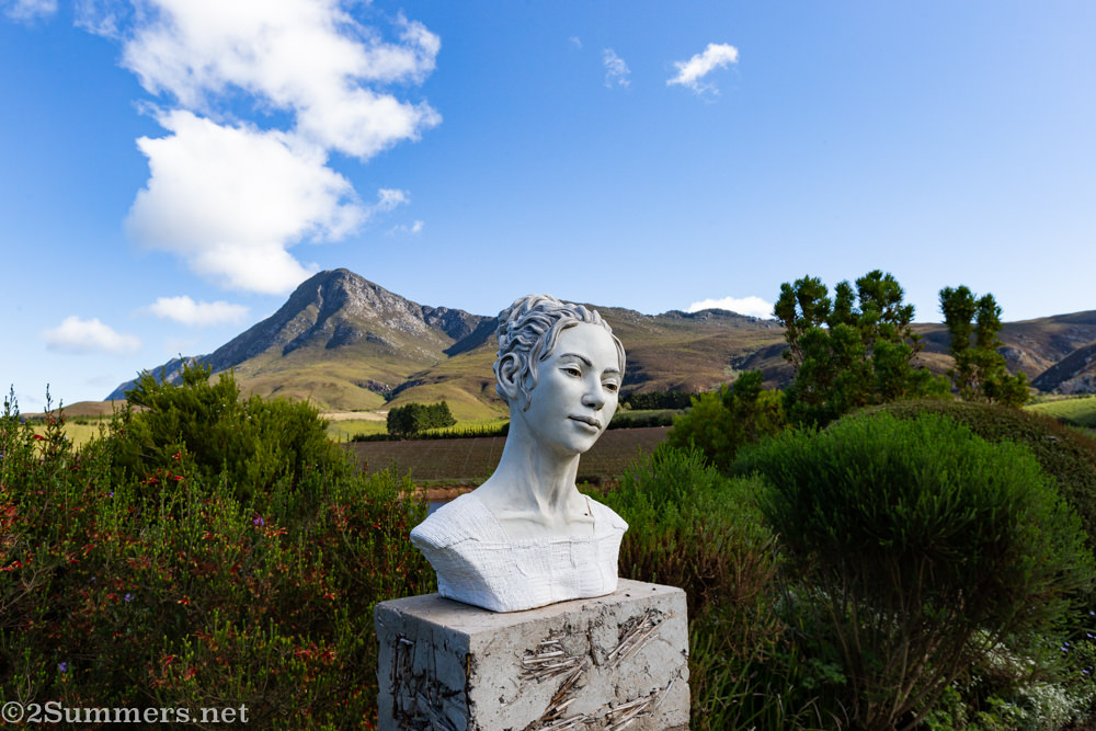 Garden at Creation Wines