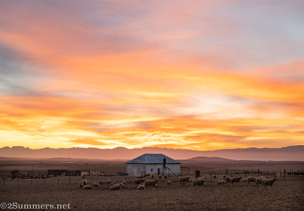 Sunrise in the Swartland at