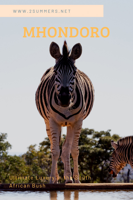 Mhondoro Safari Lodge and Villa is a luxurious family lodge in South Africa’s Welgevonden Game Reserve.