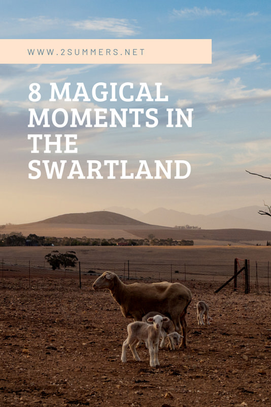 8 magical moments in the Swartland, a picturesque wine region about an hour northwest of Cape Town in South Africa.