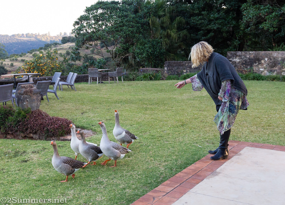 Bridget in the garden with her beloved flock of geese.