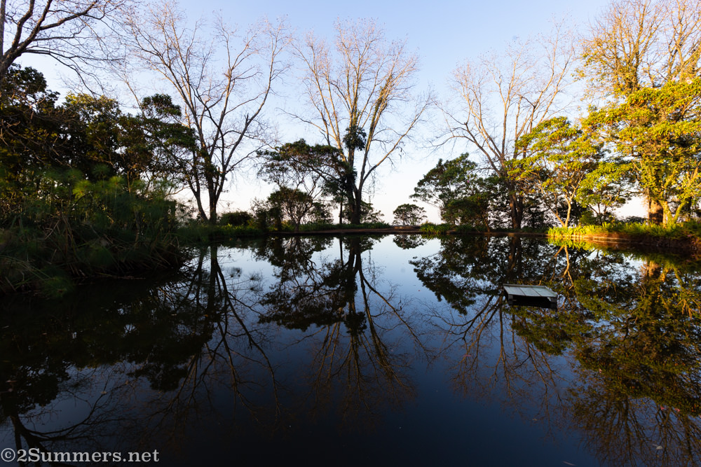 Pond at Kings Walden
