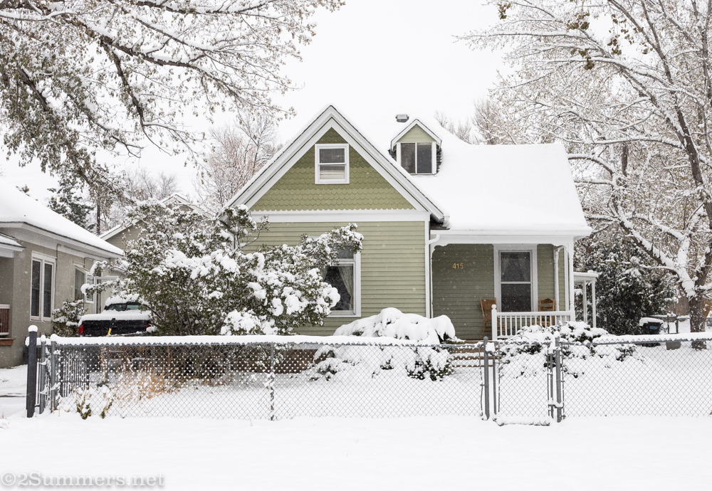 Green house and snow