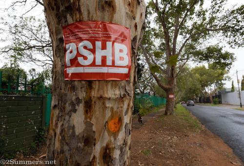 2Summers Logo Featured Post