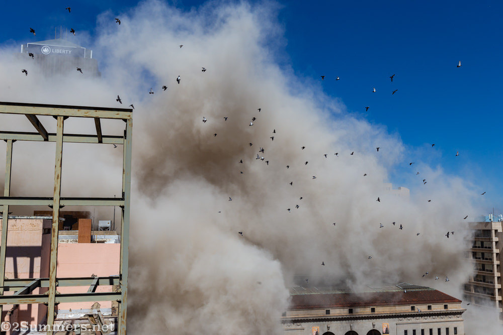 Pigeons fly up after the building is imploded